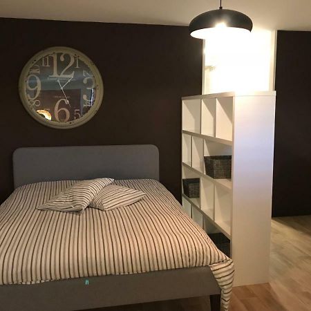 Large Studio Near Epfl And Lausanne City Center Ecublens  Εξωτερικό φωτογραφία