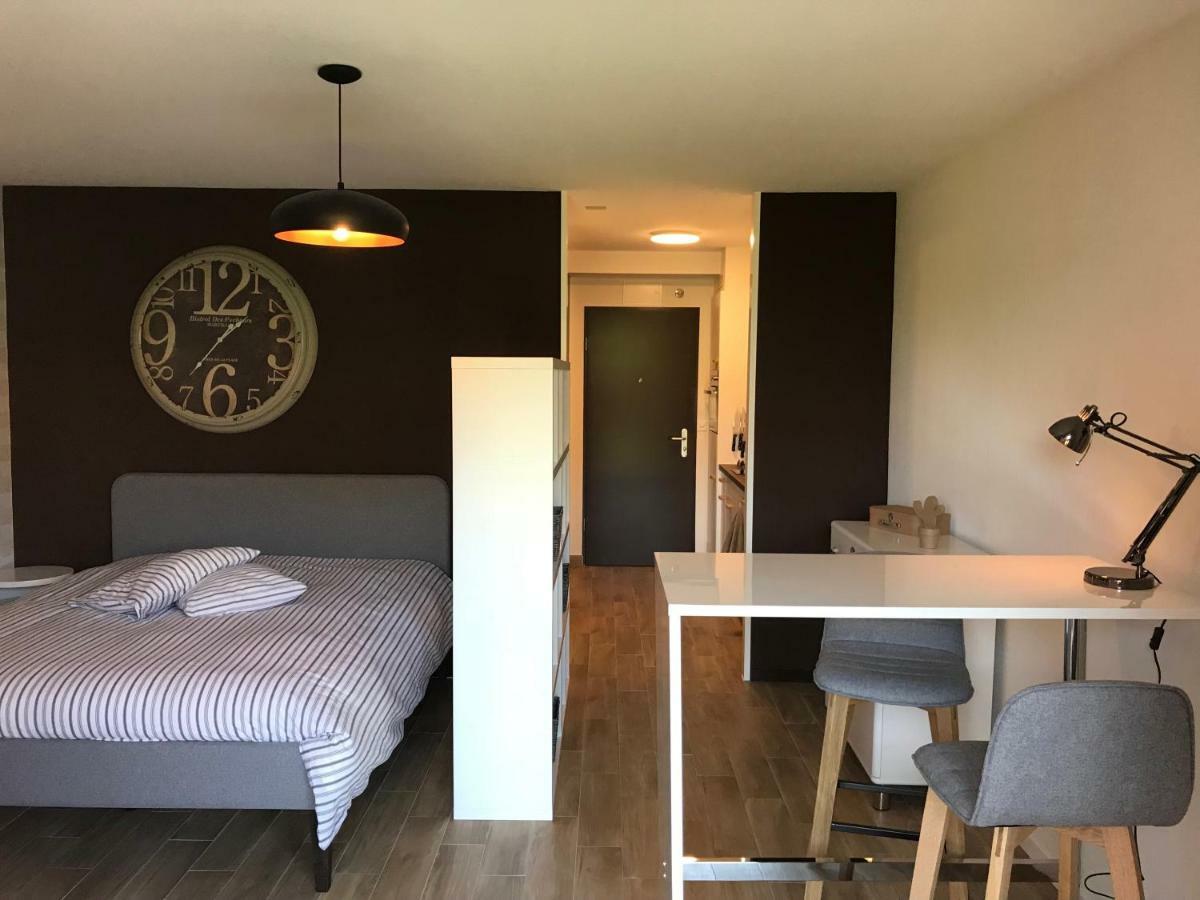 Large Studio Near Epfl And Lausanne City Center Ecublens  Εξωτερικό φωτογραφία