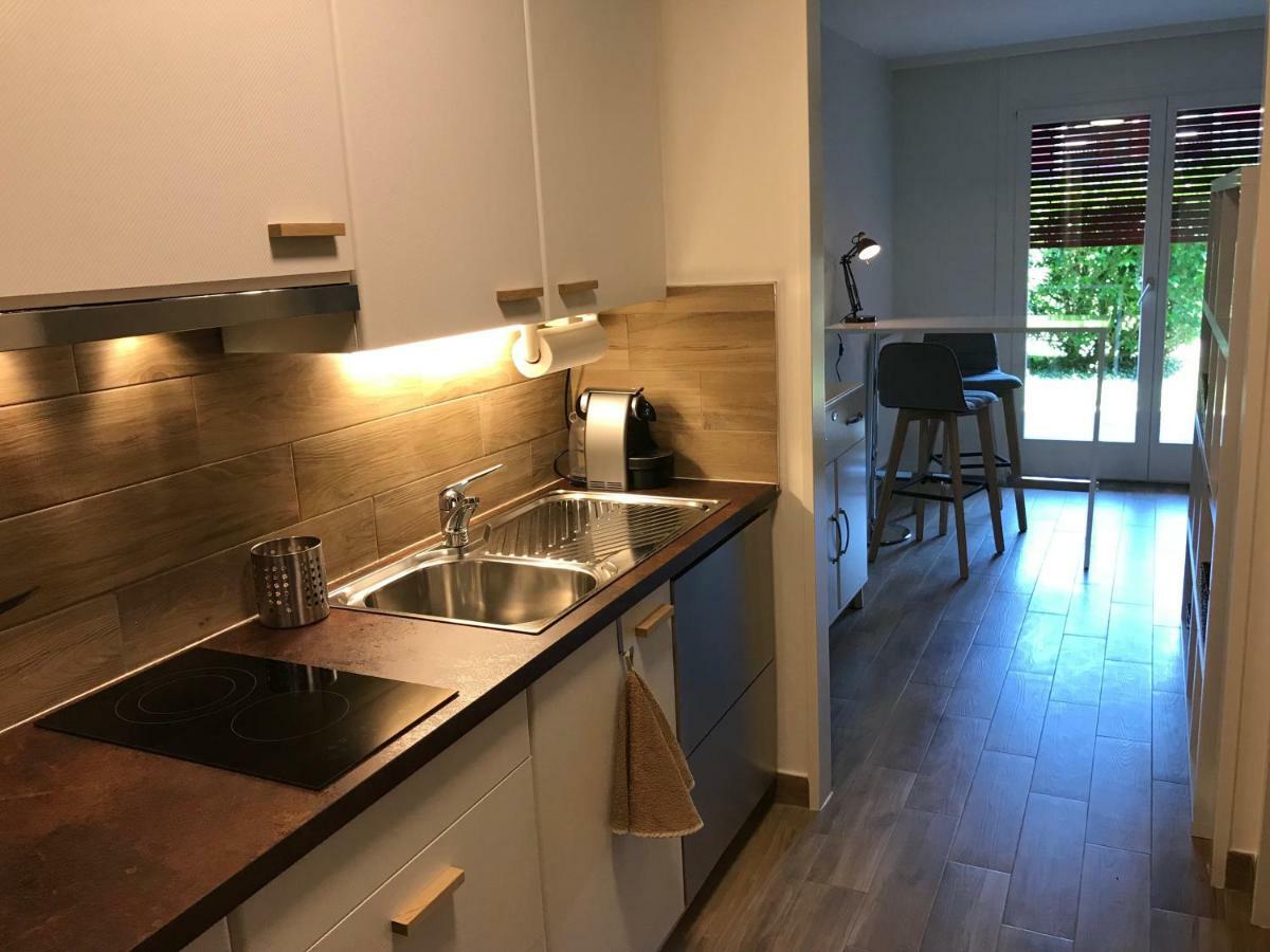 Large Studio Near Epfl And Lausanne City Center Ecublens  Εξωτερικό φωτογραφία