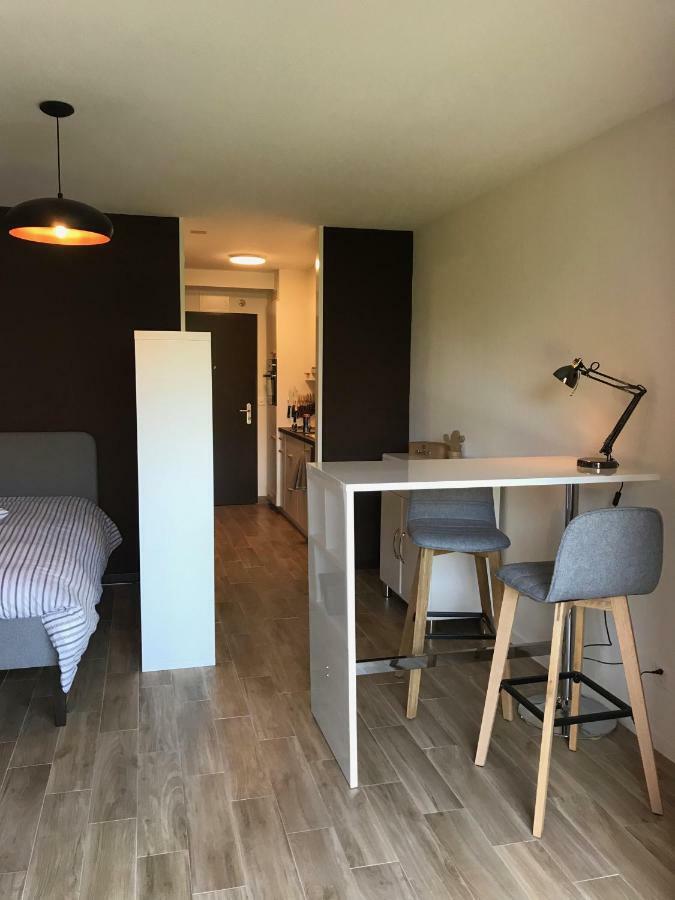 Large Studio Near Epfl And Lausanne City Center Ecublens  Εξωτερικό φωτογραφία