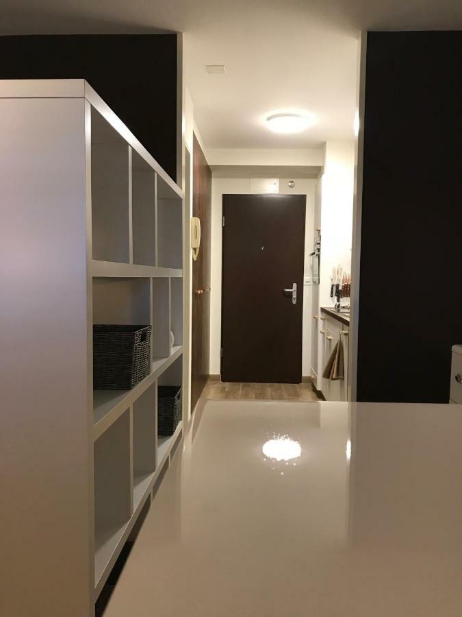 Large Studio Near Epfl And Lausanne City Center Ecublens  Εξωτερικό φωτογραφία