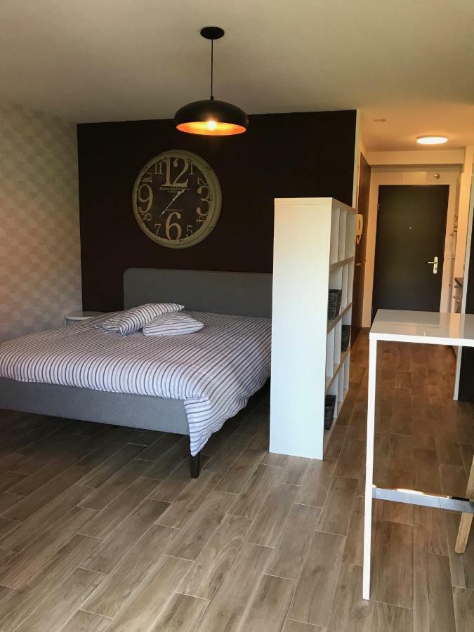 Large Studio Near Epfl And Lausanne City Center Ecublens  Εξωτερικό φωτογραφία